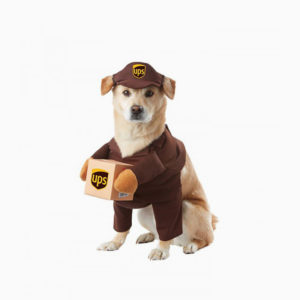 Pilot jacket