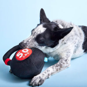 Kennelbell dog toy